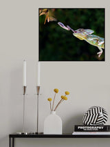 Target Shoot Poster och Canvastavla