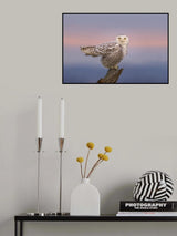 Waking up Poster och Canvastavla