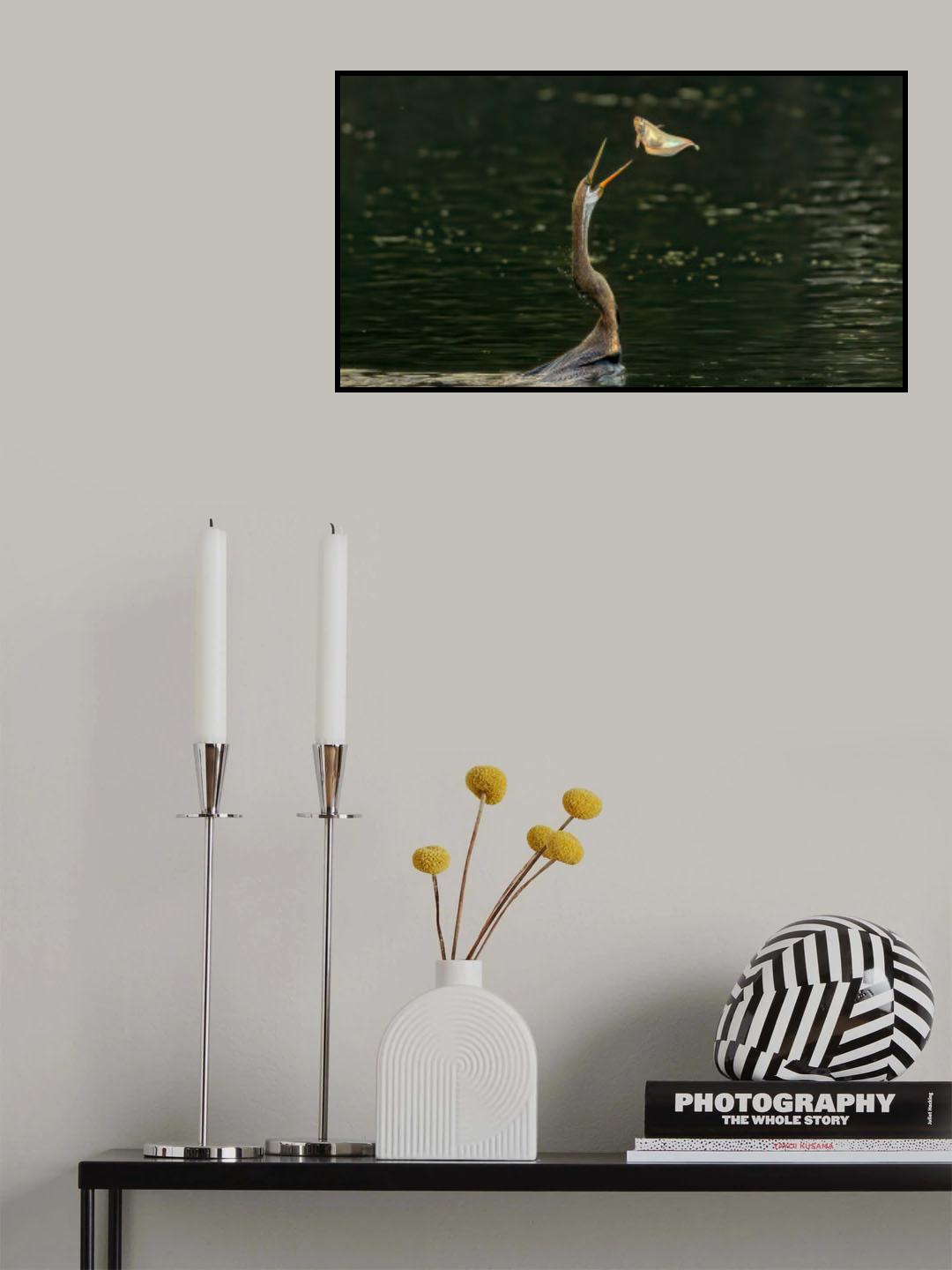 Where am I Poster och Canvastavla