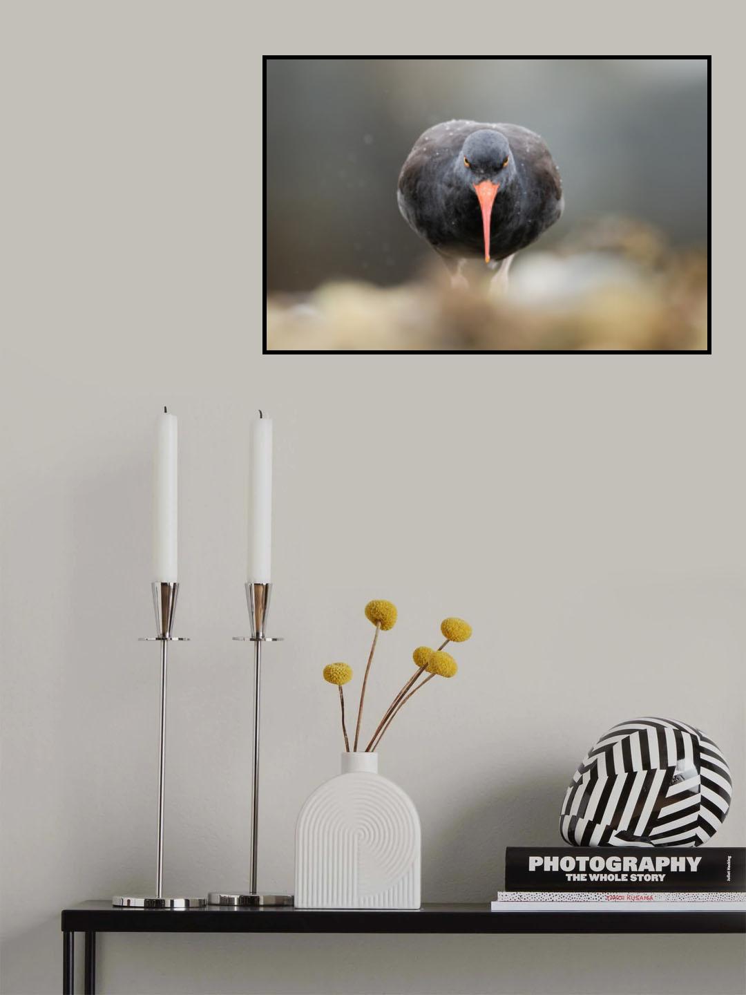 Angry Bird Poster och Canvastavla