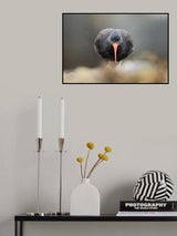 Angry Bird Poster och Canvastavla