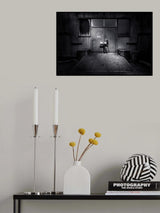 E x c i t i n g ………..! Poster och Canvastavla