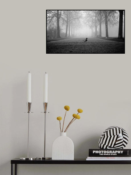 walk Poster och Canvastavla