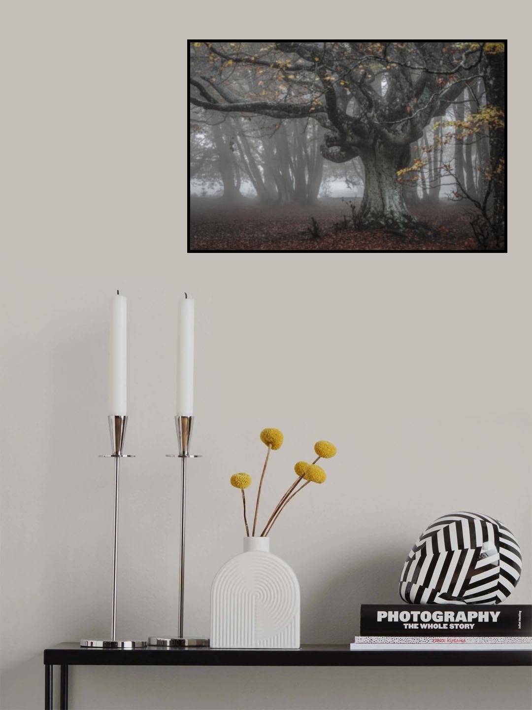 In the beech forest Poster och Canvastavla