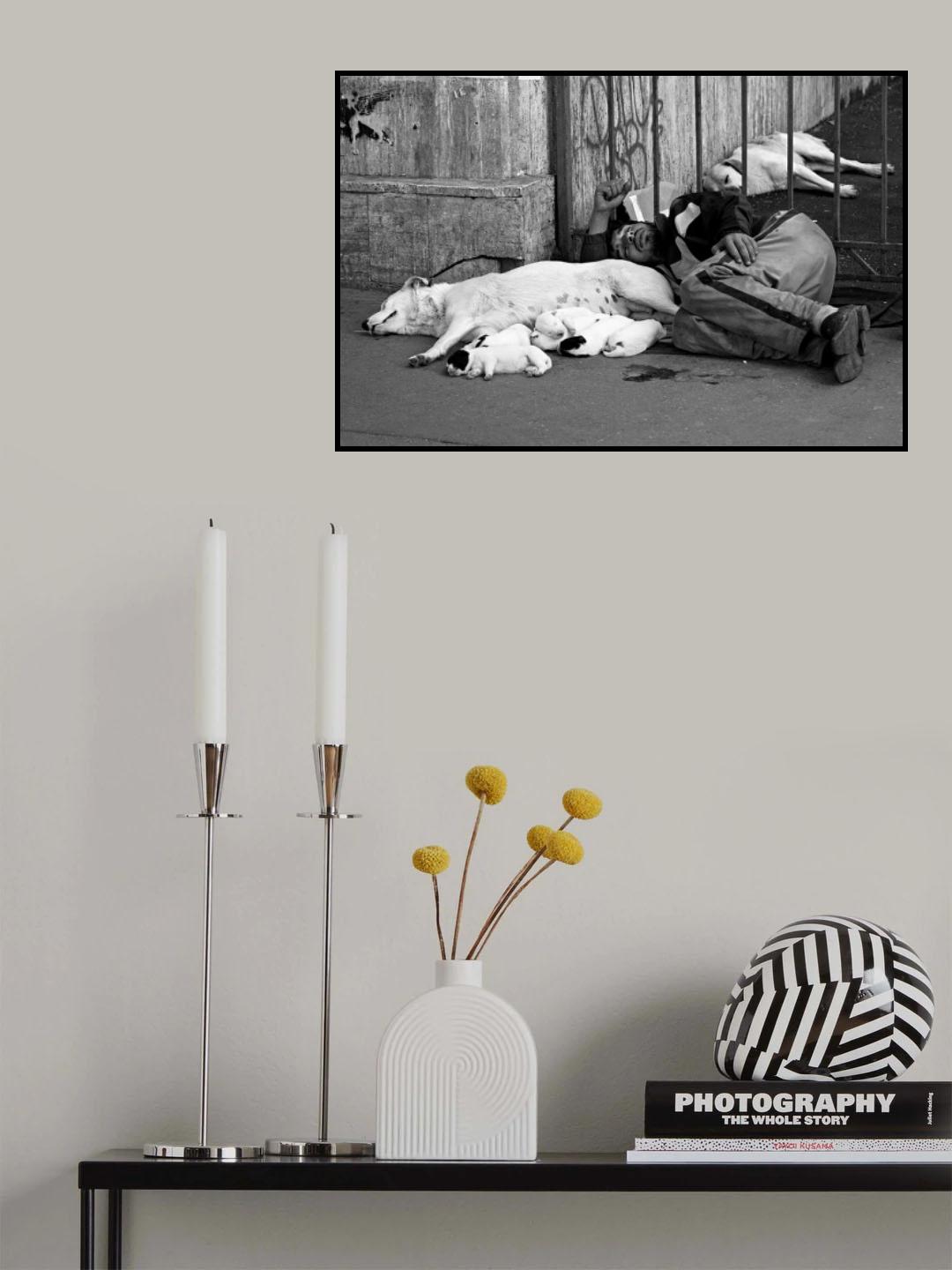 Adopted Poster och Canvastavla