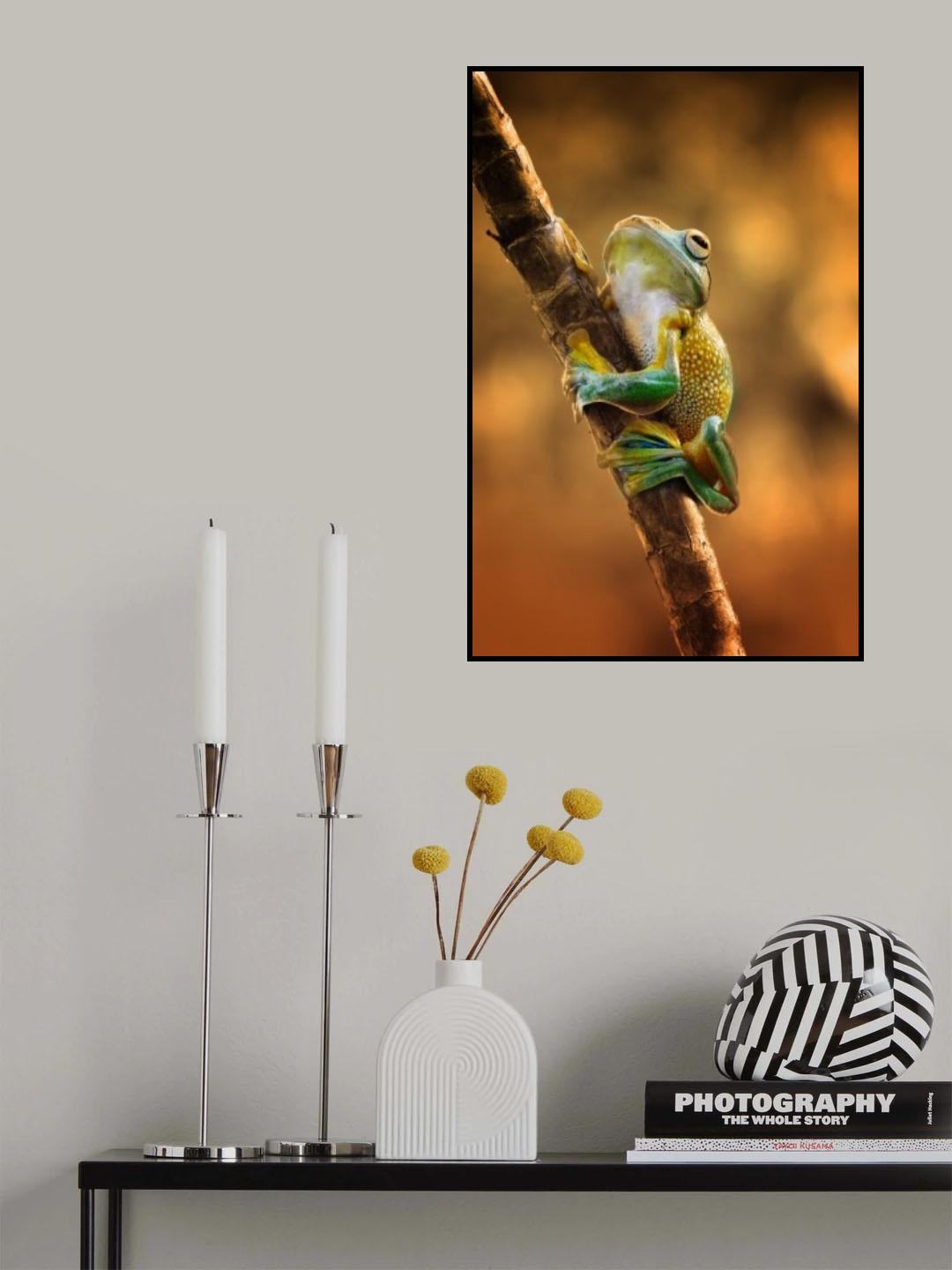 climb Poster och Canvastavla