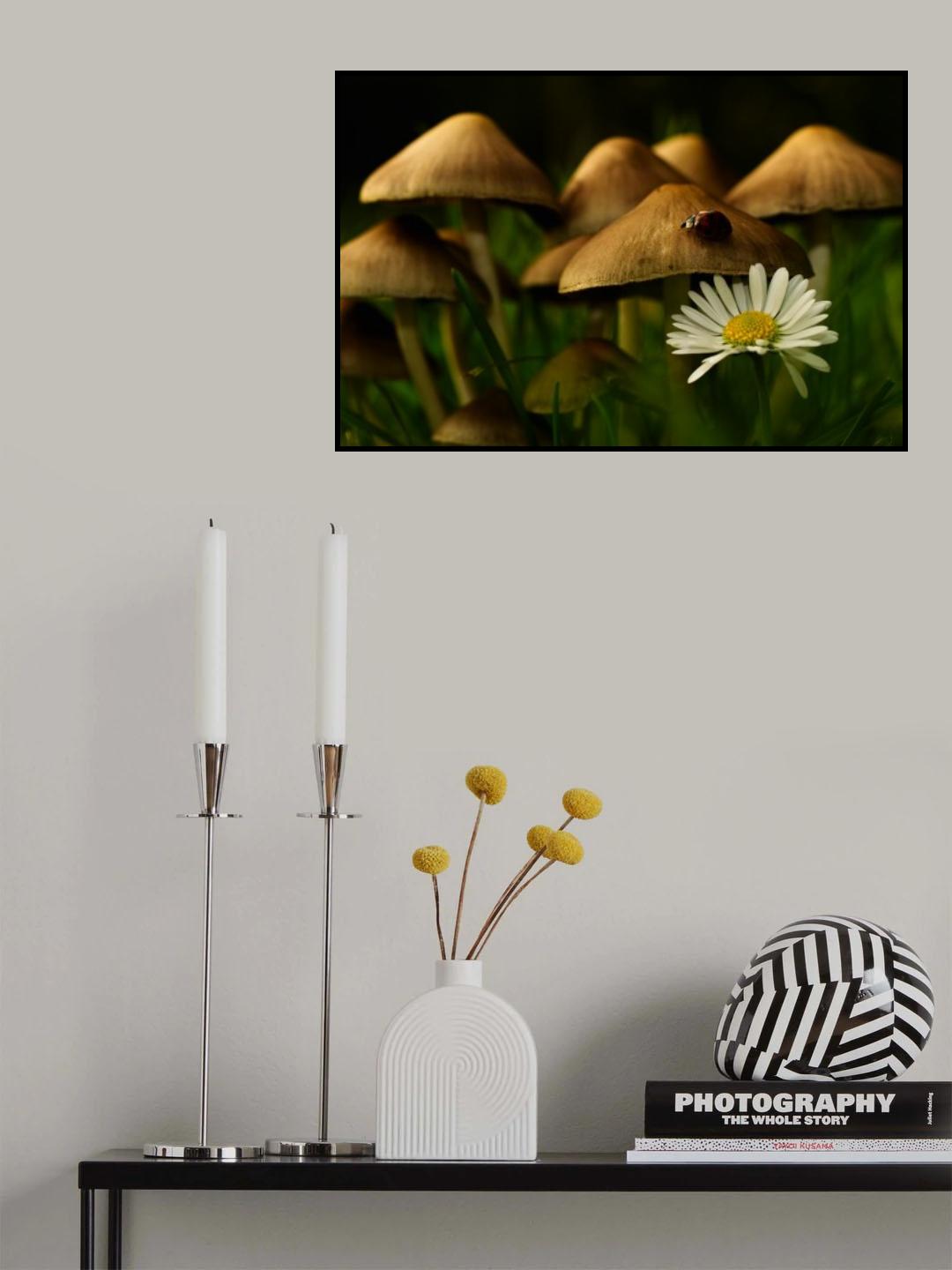 Home of the ladybird Poster och Canvastavla