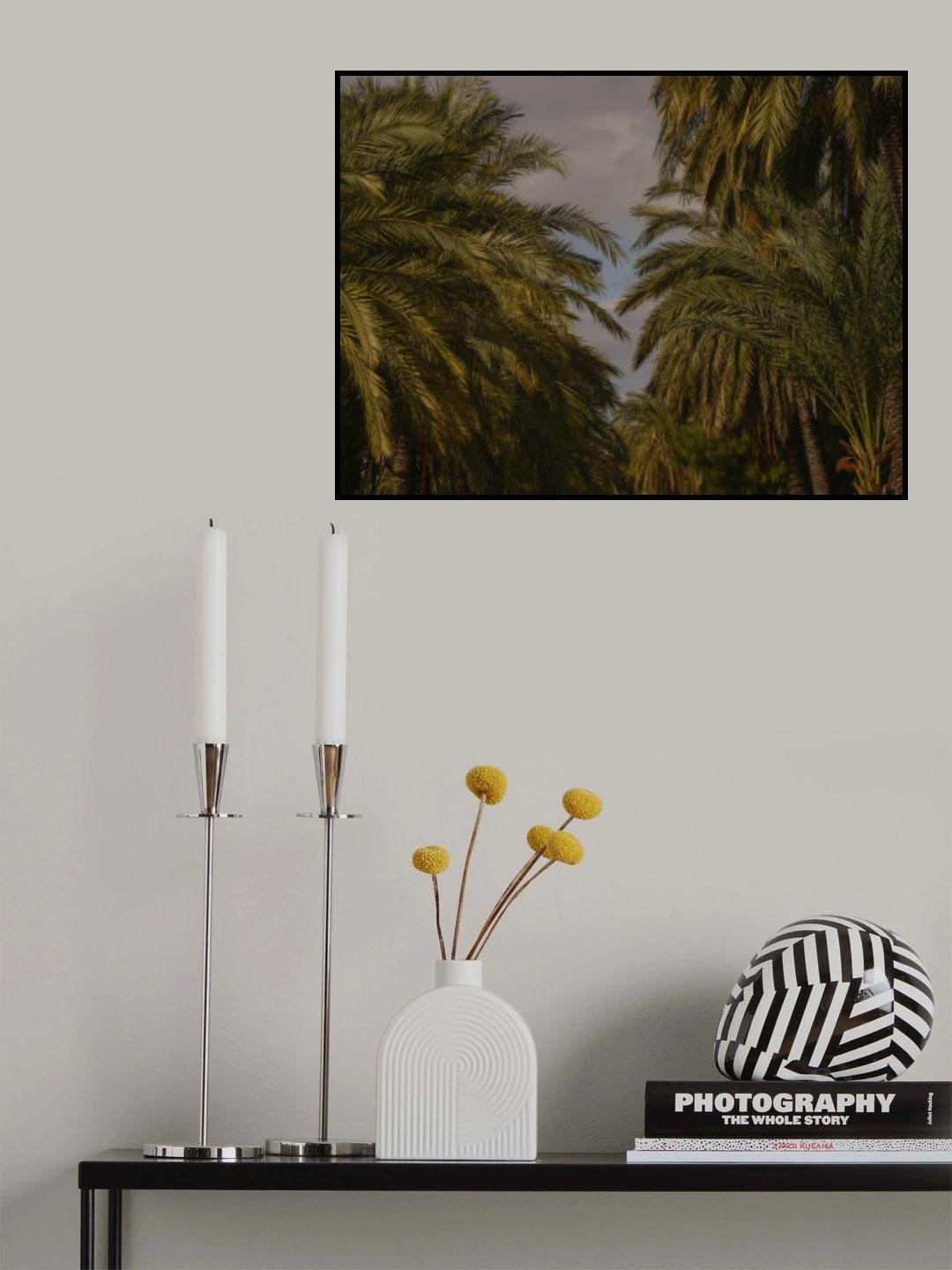 palm trees Poster och Canvastavla