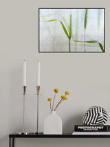 Wavy green Poster och Canvastavla