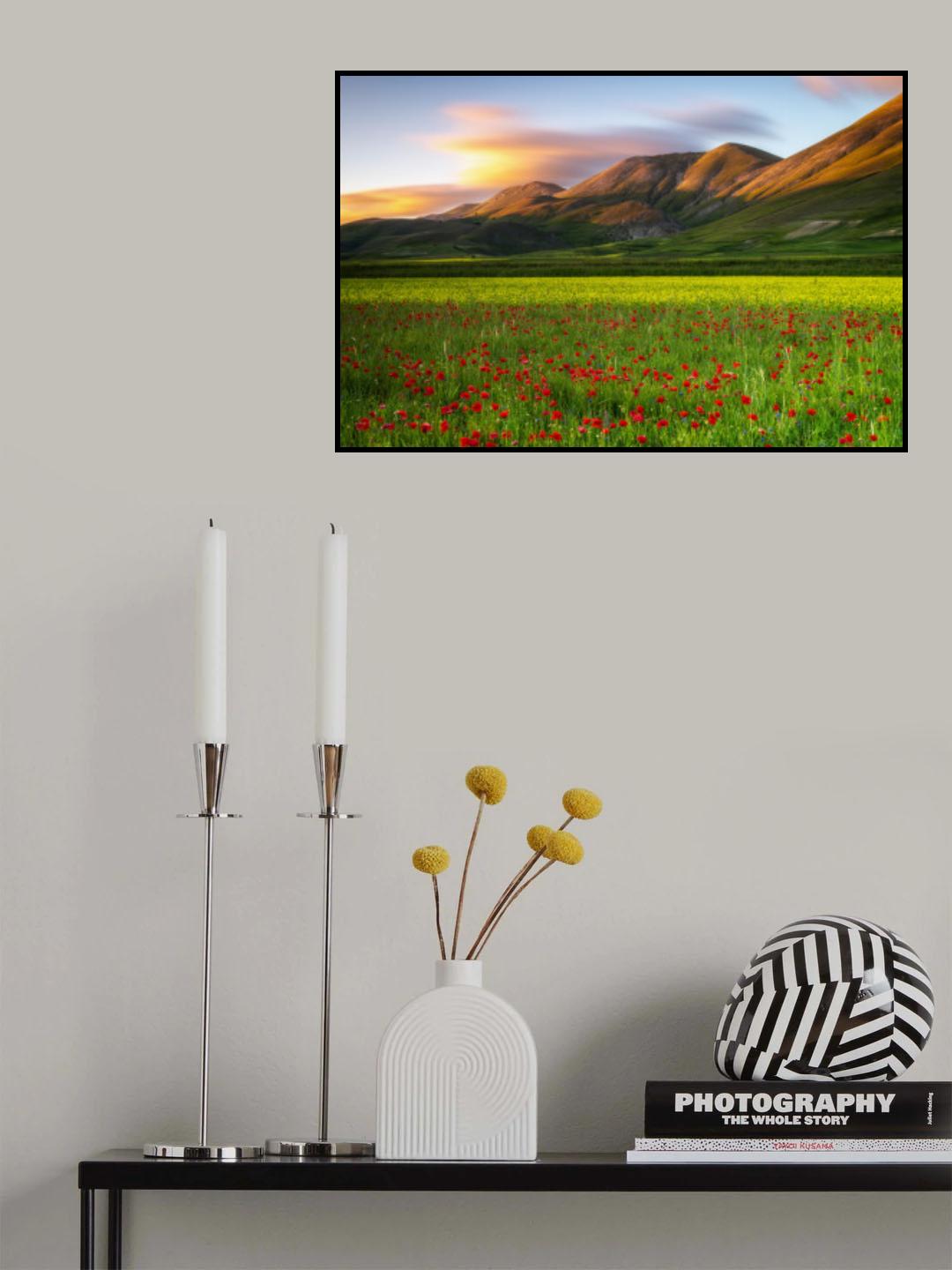 Argentella Poster och Canvastavla