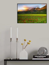 Argentella Poster och Canvastavla