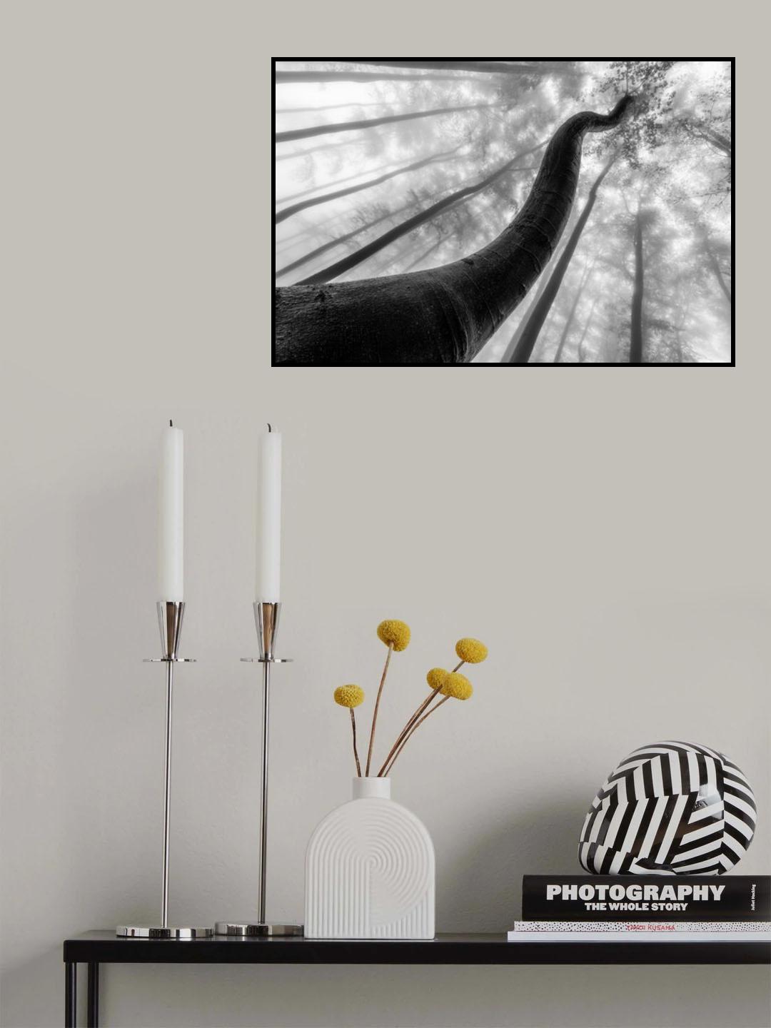 Tree shapes Poster och Canvastavla