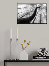 Tree shapes Poster och Canvastavla