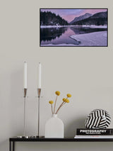 Slowly Covered Poster och Canvastavla