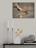 Cleaning food Poster och Canvastavla