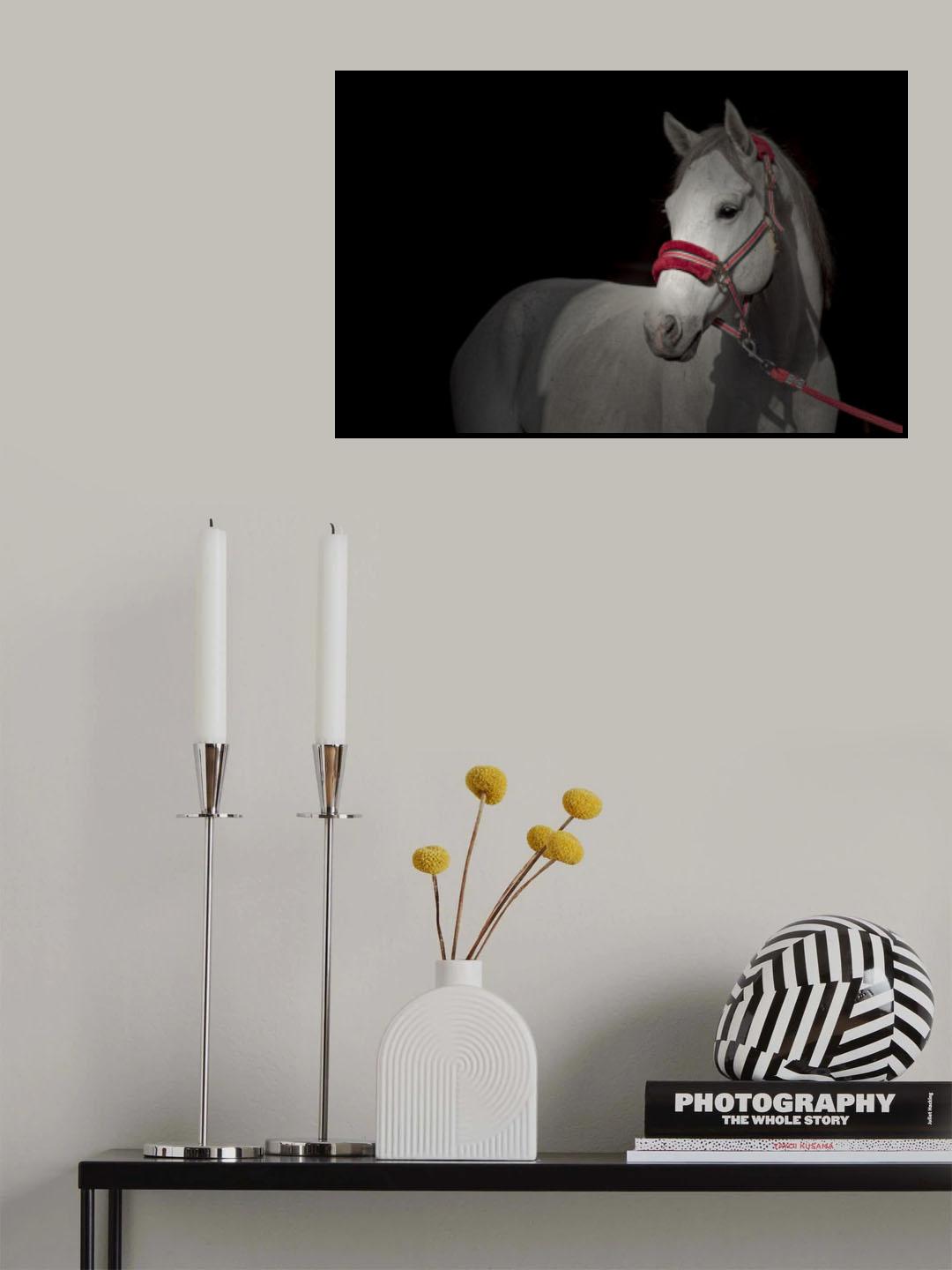 red Poster och Canvastavla