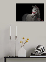 red Poster och Canvastavla