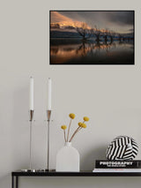 The Glenorchy Willow Trees Poster och Canvastavla