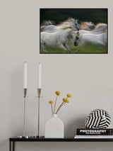 In grup Poster och Canvastavla