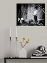 Angry Bird Poster och Canvastavla