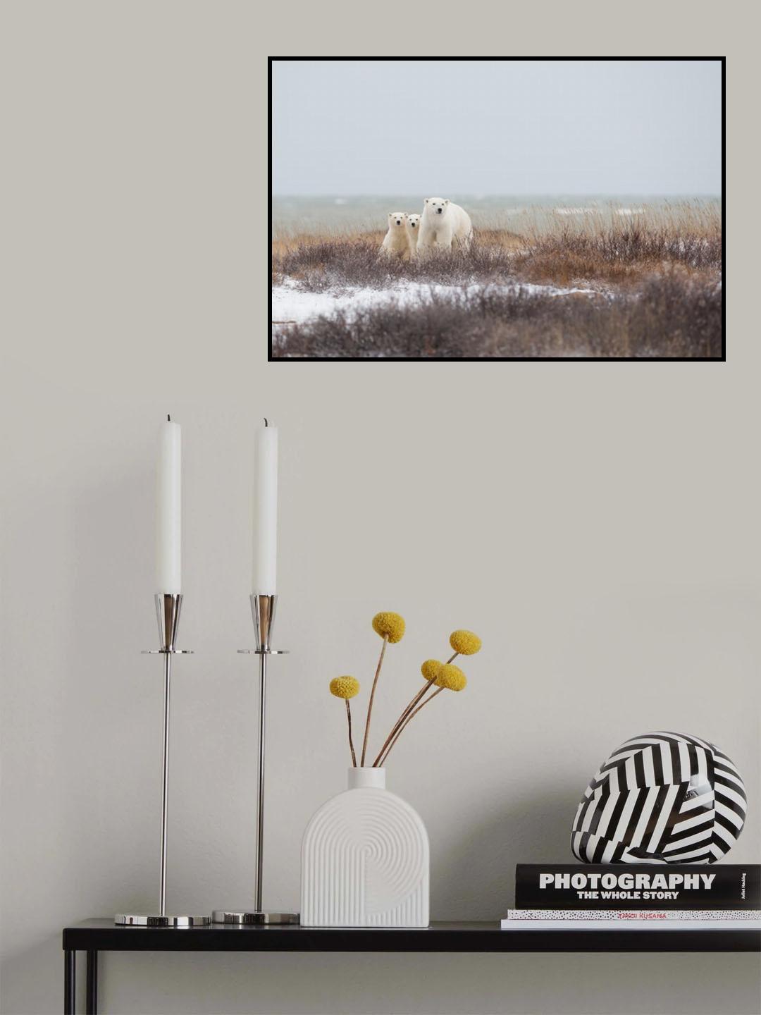 Mother &amp; cubs at the seaside Poster och Canvastavla