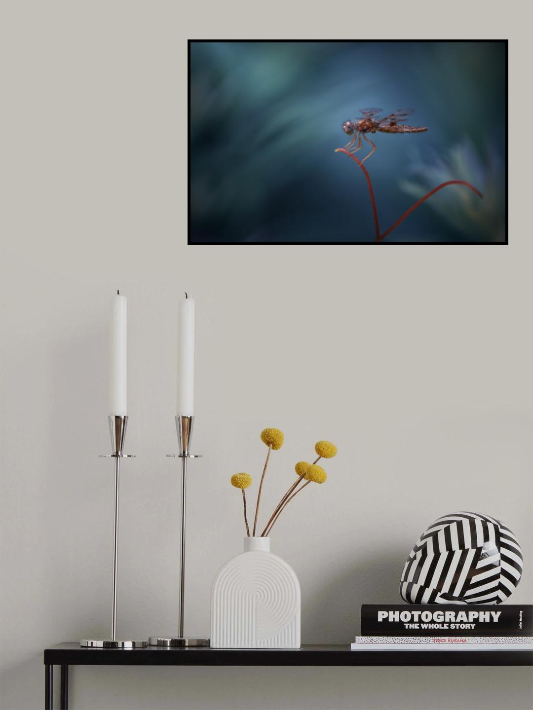 Dreamland Poster och Canvastavla