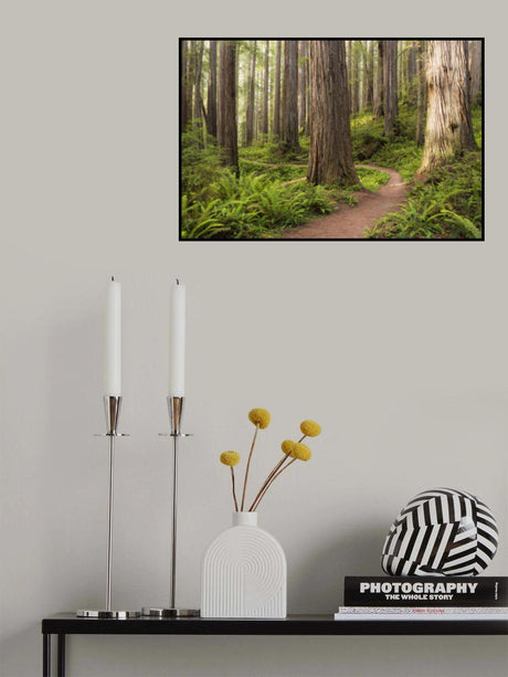 Lost World Poster och Canvastavla