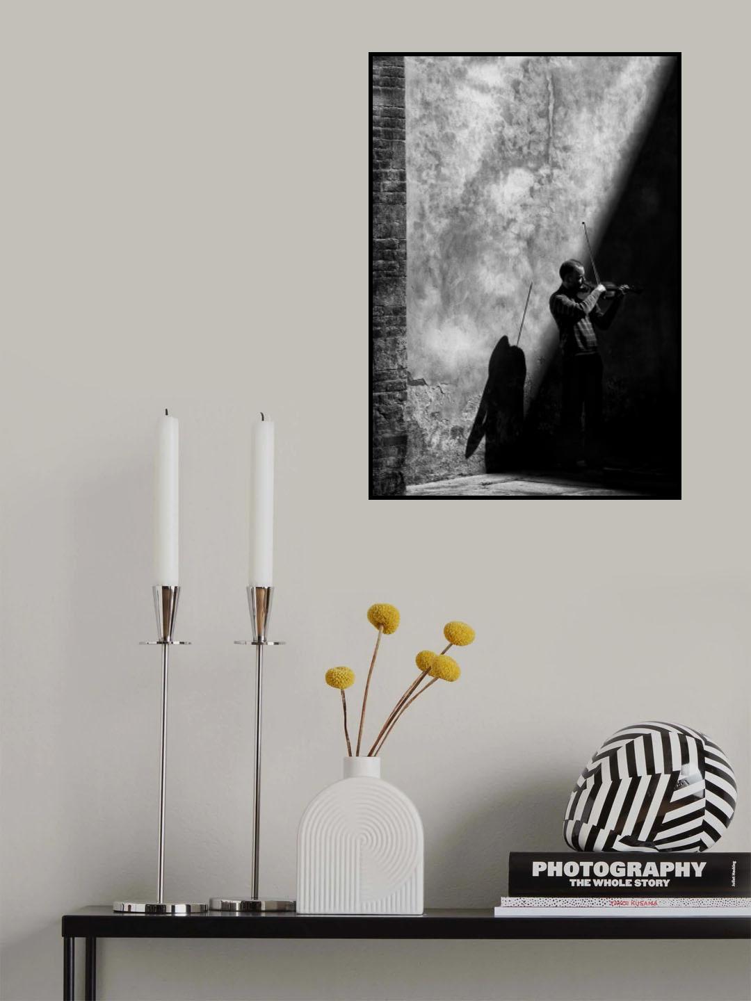 While the shadow comes Poster och Canvastavla