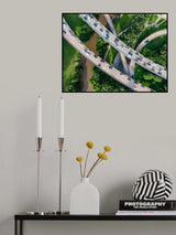 Busy roads Poster och Canvastavla