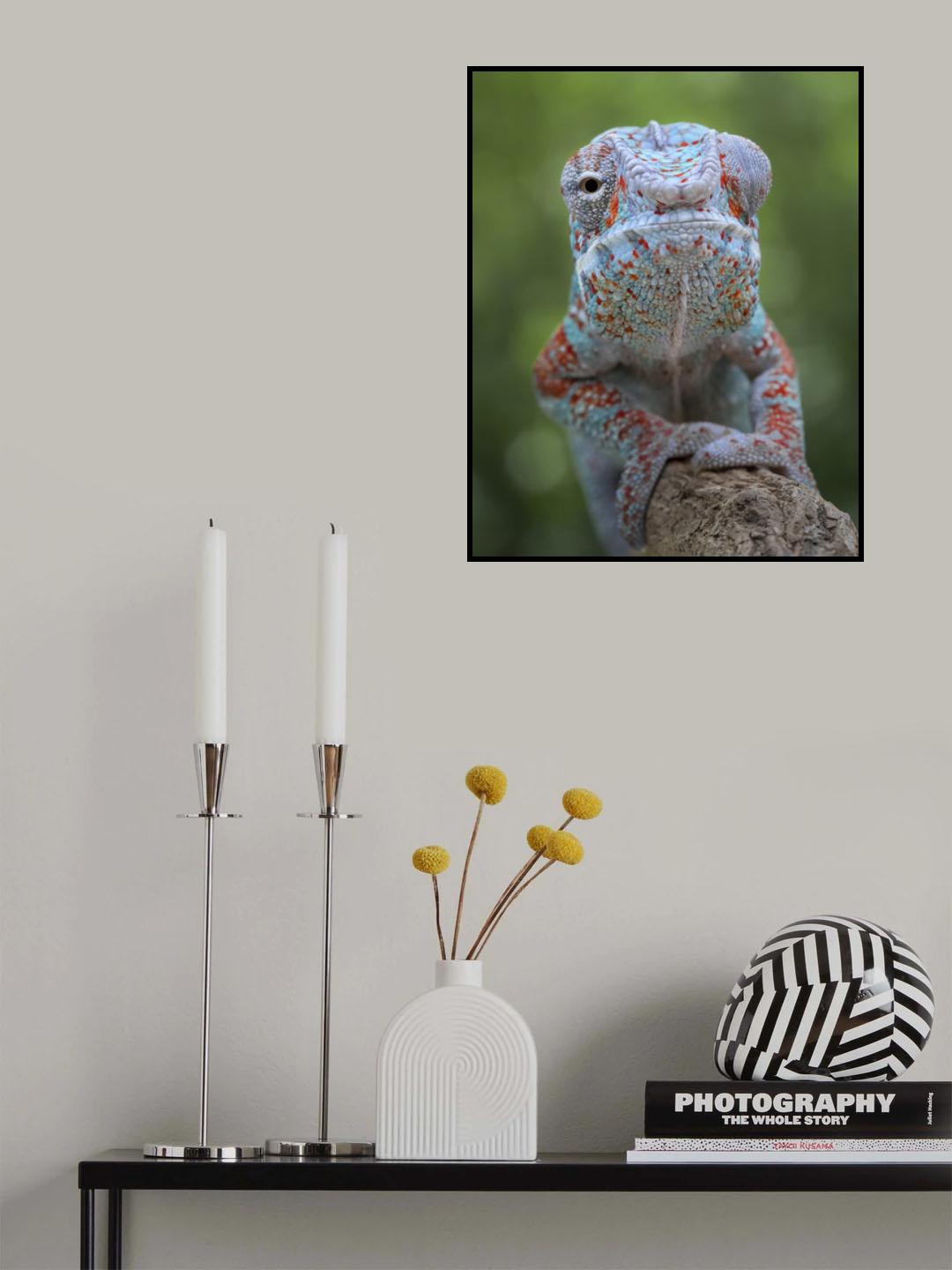 Looking With One Eye Poster och Canvastavla