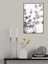 Almond Blossoms Poster och Canvastavla