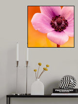 Pop Poster och Canvastavla