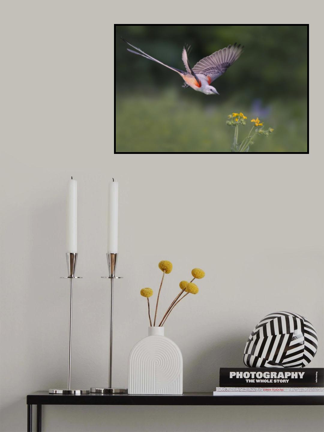 Catch the Spring Poster och Canvastavla