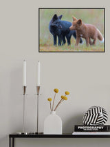 Red Fox Kits Poster och Canvastavla