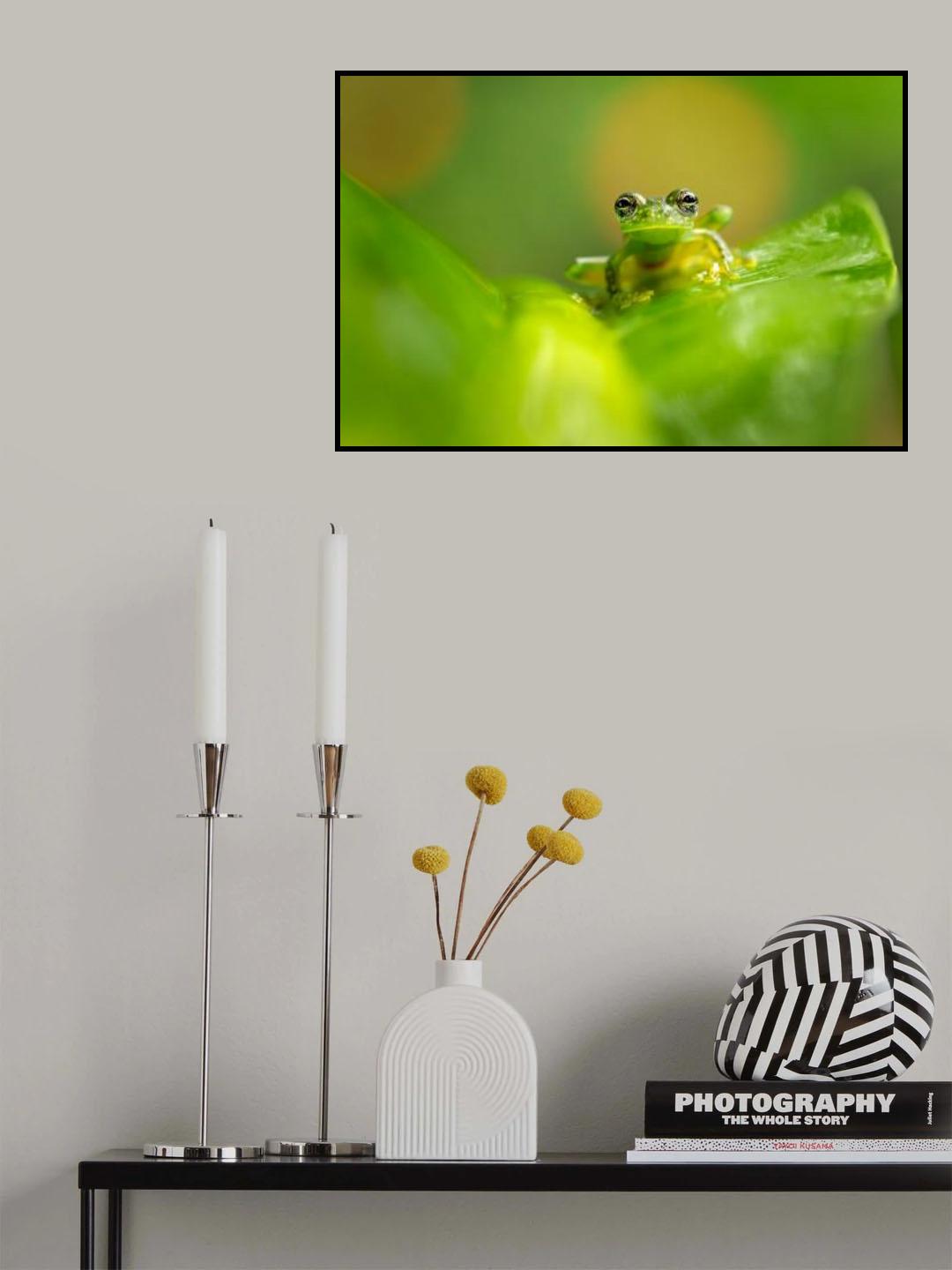 Cascade Glass Frog Poster och Canvastavla