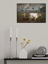 Vinales, Cuba Poster och Canvastavla