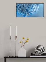 At the edge of the sea of ice... Poster och Canvastavla