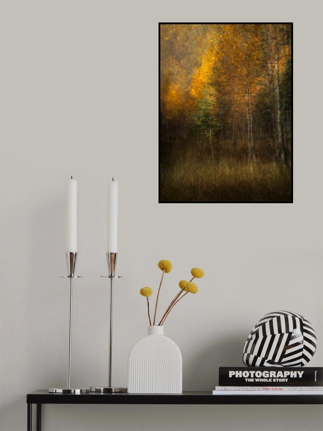 Woods Poster och Canvastavla