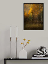 Woods Poster och Canvastavla