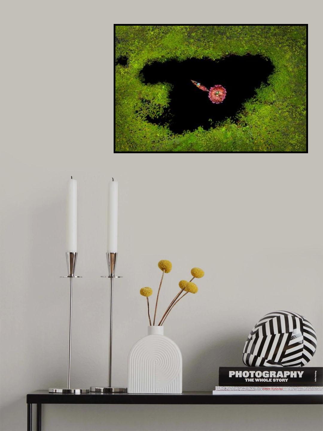 Harvesting Waterlily Poster och Canvastavla