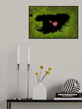 Harvesting Waterlily Poster och Canvastavla