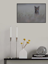 Wildcat Poster och Canvastavla