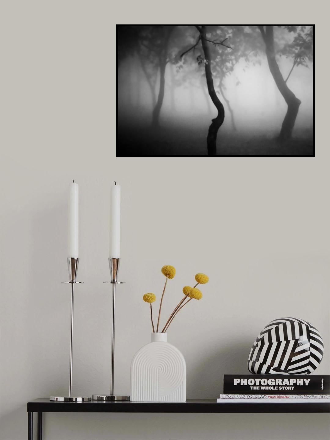 Foggy forest Poster och Canvastavla