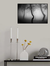Foggy forest Poster och Canvastavla