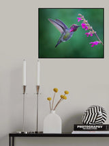 Vibrant Magenta Harmony Poster och Canvastavla