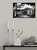 Poster och Canvastavla