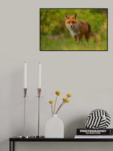 Red Fox Lady Poster och Canvastavla