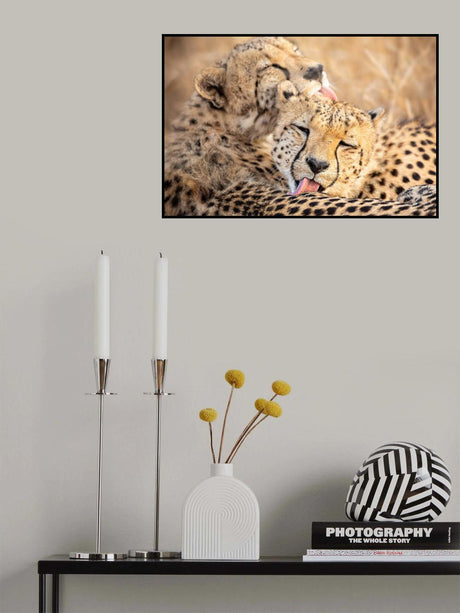 Brother's Poster och Canvastavla