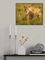 Hunter Poster och Canvastavla