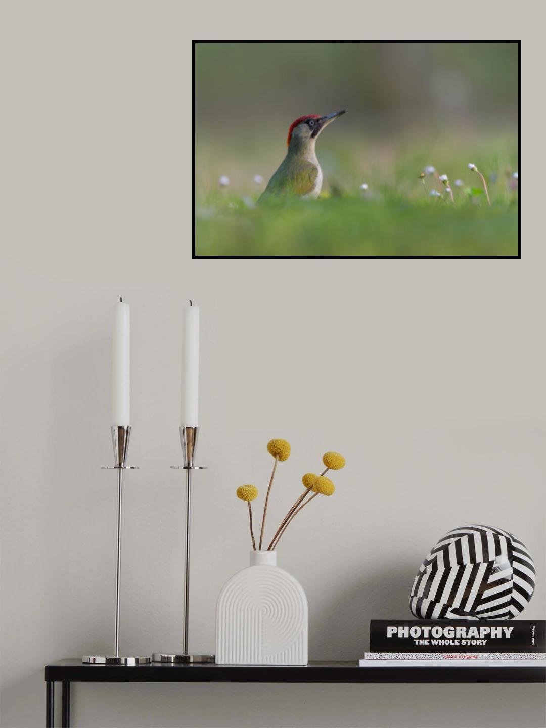 Green beauty Poster och Canvastavla